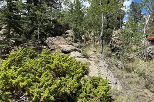 2138 Overland Cir, Jefferson, CO 80456 - Photo 31
