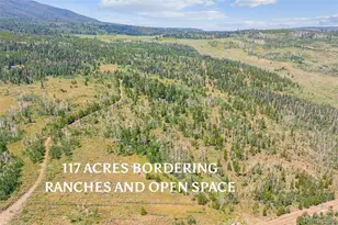 733 Spring Creek Ranch Rd, Silverthorne, CO 80498 - Photo 3
