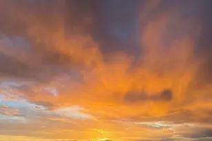 14275 Shadow Wood Ct, Brighton, CO 80603 - Photo 43