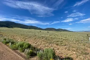 690 Eagle Gate Rd, Westcliffe, CO 81252 - Photo 1