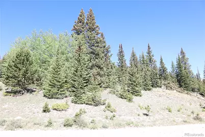 1480 Roberts Road, Fairplay, CO 80440 - Photo 3