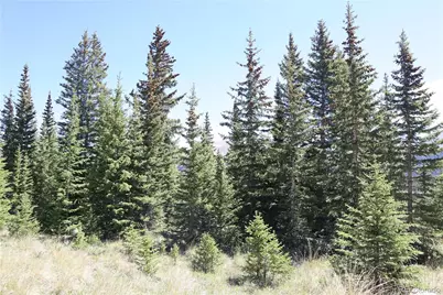 1480 Roberts Road, Fairplay, CO 80440 - Photo 9