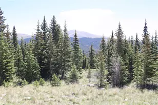 1480 Roberts Rd, Fairplay, CO 80440 - Photo 1