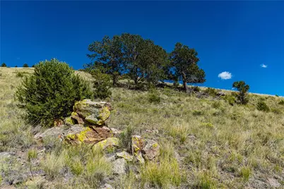 340 Huntley Place, Cotopaxi, CO 81223 - Photo 23