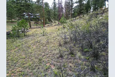 33247 Jennifer Road, Pine, CO 80470 - Photo 11