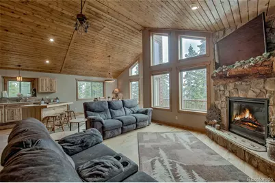 566 Miners Way, Fairplay, CO 80440 - Photo 9