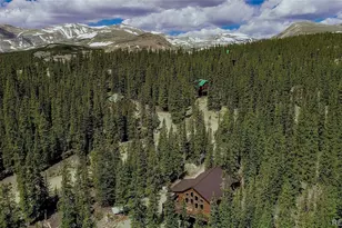 566 Miners Way, Fairplay, CO 80440 - Photo 3