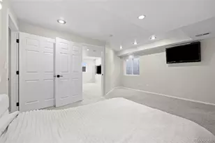 9169 Fox Fire Way, Highlands Ranch, CO 80129 - Photo 29