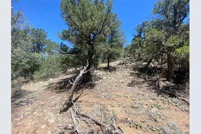 Tr-142 17th Trail, Cotopaxi, CO 81223 - Photo 1