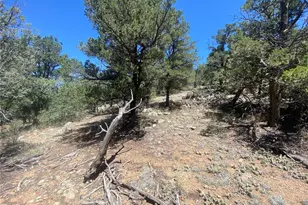 Tr-142 17th Trail, Cotopaxi, CO 81223 - Photo 1