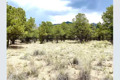 Tract 6 Philleo Annex Philleo Way, Crestone, CO 81131 - Photo 3