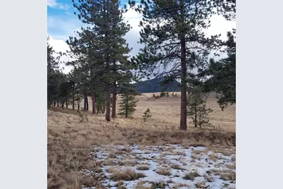 0 Singletree Road, Buena Vista, CO 81211 - Photo 15