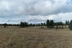 0 Singletree Rd, Buena Vista, CO 81211 - Photo 1