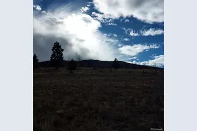 0 Singletree Road, Buena Vista, CO 81211 - Photo 9