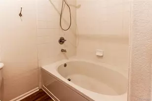 10787 Twenty Mile Road, Parker, CO 80134 - Photo 25