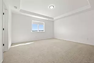 6866 Petunia Pl, Castle Rock, CO 80108 - Photo 39