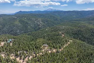13939 Forest Ln, Larkspur, CO 80118 - Photo 7
