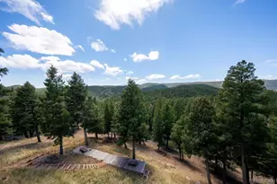 13939 Forest Ln, Larkspur, CO 80118 - Photo 45