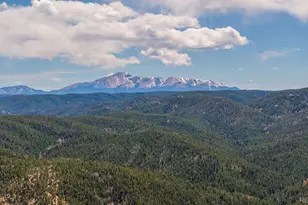 13939 Forest Ln, Larkspur, CO 80118 - Photo 17