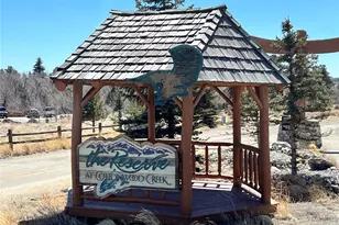 17320 Co Rd 306, Buena Vista, CO 81211 - Photo 47