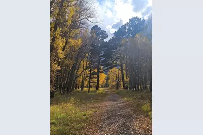 17320 County Road 306, Buena Vista, CO 81211 - Photo 45