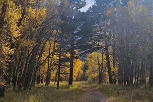 17320 Co Rd 306, Buena Vista, CO 81211 - Photo 45