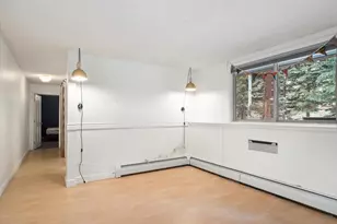 550 S French St, Breckenridge, CO 80424 - Photo 23