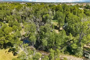 247 True Ave, Poncha Springs, CO 81242 - Photo 45