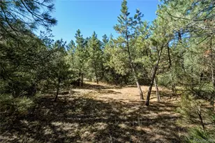 93 Blackhawk Ranch, Walsenburg, CO 81089 - Photo 27