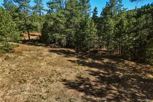 93 Blackhawk Ranch, Walsenburg, CO 81089 - Photo 31