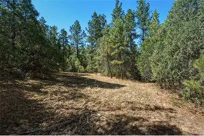 93 Blackhawk Ranch, Walsenburg, CO 81089 - Photo 29