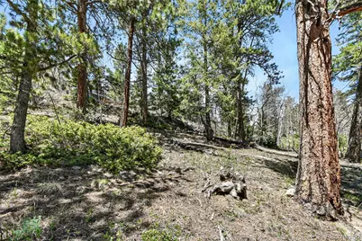 11618 Nichols Way, Conifer, CO 80433 - Photo 19