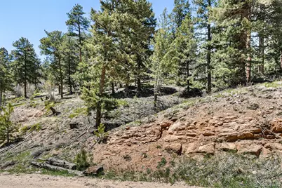 11618 Nichols Way, Conifer, CO 80433 - Photo 11