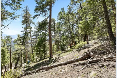11618 Nichols Way, Conifer, CO 80433 - Photo 17