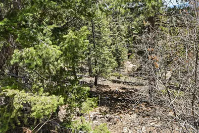 11618 Nichols Way, Conifer, CO 80433 - Photo 3