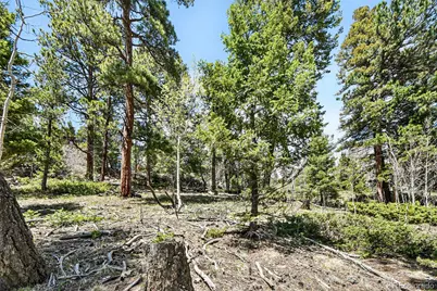 11618 Nichols Way, Conifer, CO 80433 - Photo 21