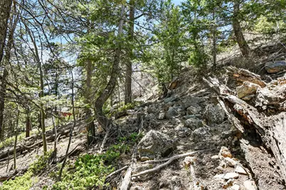 11618 Nichols Way, Conifer, CO 80433 - Photo 15