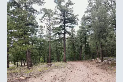 Fern Gulch Lot 14 Road, Evergreen, CO 80439 - Photo 5