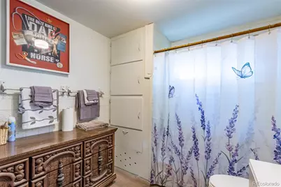 213 N Colorado Avenue, Buena Vista, CO 81211 - Photo 39