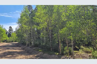 Lot 5816 Balleroy Road, Fort Garland, CO 81133 - Photo 17