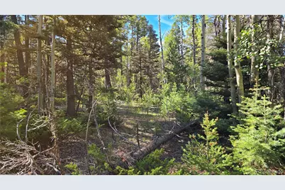 Lot 5816 Balleroy Road, Fort Garland, CO 81133 - Photo 3