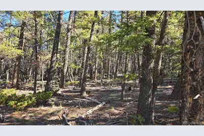 Lot 5816 Balleroy Road, Fort Garland, CO 81133 - Photo 5
