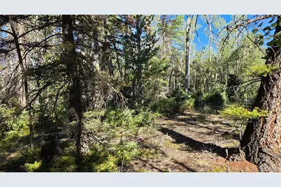 Lot 5816 Balleroy Road, Fort Garland, CO 81133 - Photo 15