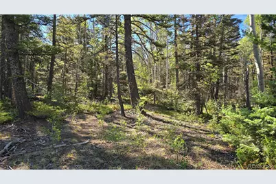 Lot 5816 Balleroy Road, Fort Garland, CO 81133 - Photo 11