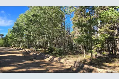 Lot 5816 Balleroy Road, Fort Garland, CO 81133 - Photo 7