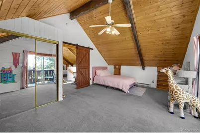 1276 Pinewood Road, Florissant, CO 80816 - Photo 17