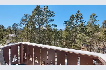 1276 Pinewood Road, Florissant, CO 80816 - Photo 25