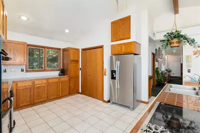 2924 Valley Park Drive, Larkspur, CO 80118 - Photo 19