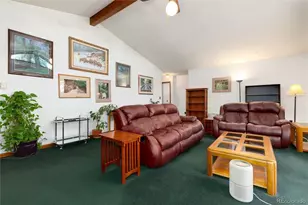 2924 Vly Pk Dr, Larkspur, CO 80118 - Photo 15