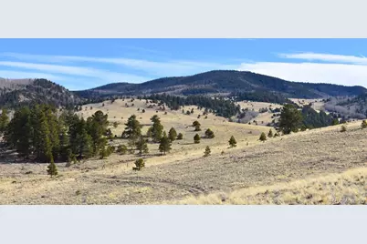457 Anthony Avenue, Westcliffe, CO 81252 - Photo 23